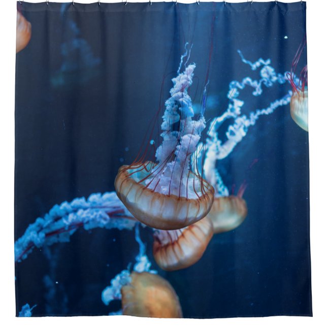 Wonderful Jellyfishes Shower Curtain (Front)
