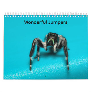 Wonderful Jumpers Calendar