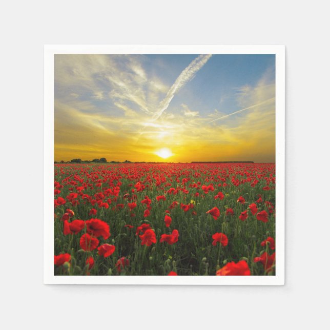 Wonderful Poppy Field Sunset Horizon Napkin (Front)