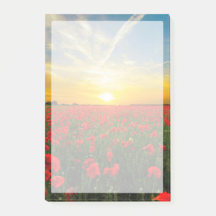 Wonderful Poppy Field Sunset Horizon Post-it Notes