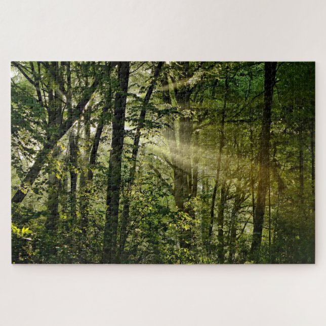 Wonderful Sunbeams in the morning Forest Jigsaw Puzzle (Horizontal)