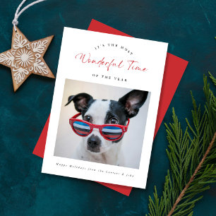 Wonderful Time Funny Dog Family Christmas Red Holiday Card