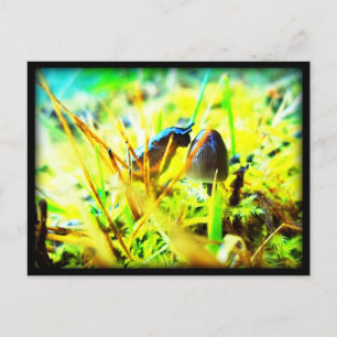 Wonderful to Meet You Slug and Mushroom Photo Postcard