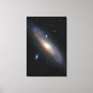 Wonderful Universe Canvas Print