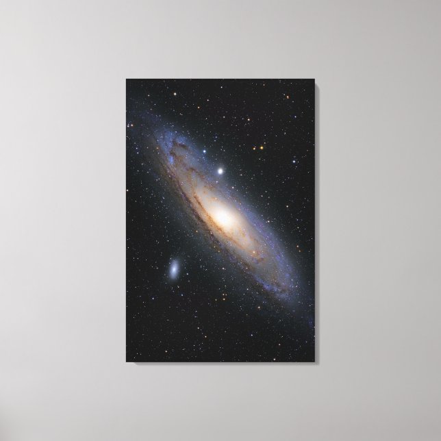 Wonderful Universe Canvas Print (Front)