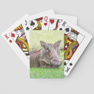 Wonderful Warthog Playing Cards
