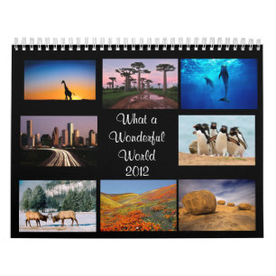 Wonderful World 2012 Calendar