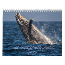 Wonderful World of Whales 2015 Calender