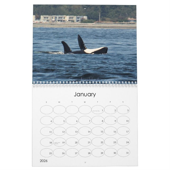 Wonderful World of Whales 2015 Calender Calendar (Jan 2026)