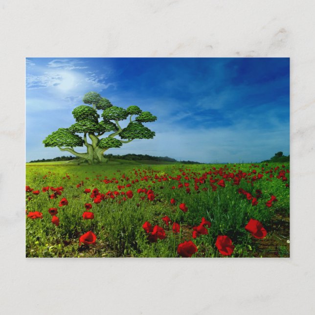 Wonderful World Postcard (Front)