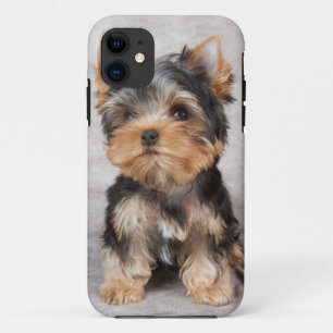 Wonderful yorkie iPhone 11 case