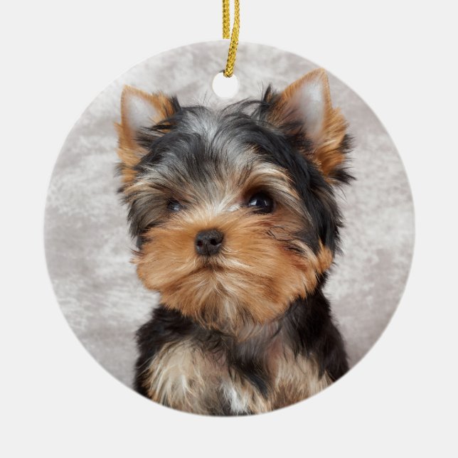 Wonderful yorkie ceramic tree decoration (Front)