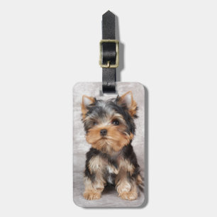 Wonderful yorkie luggage tag