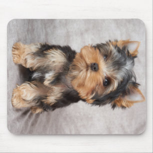 Wonderful yorkie mouse pad