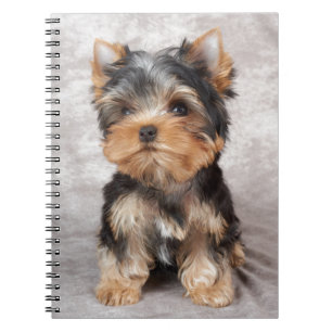 Wonderful yorkie spiral notebook
