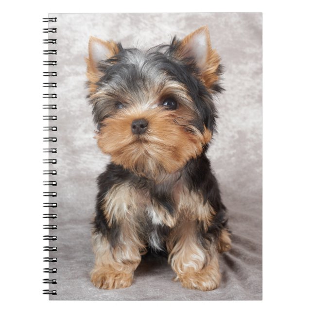 Wonderful yorkie spiral notebook (Front)