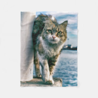Wondering Beautiful Cat Fleece Blanket