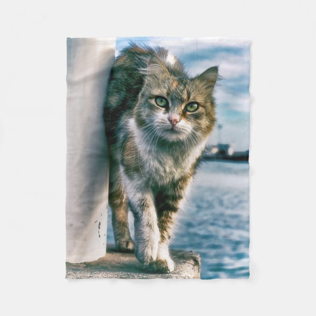 Wondering Beautiful Cat Fleece Blanket (Front)