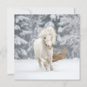 Wonderland Photo Miniature Horse Running Card