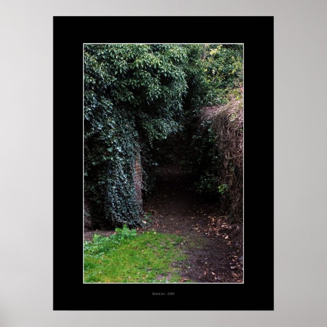 WONDERLAND Poster (Front)