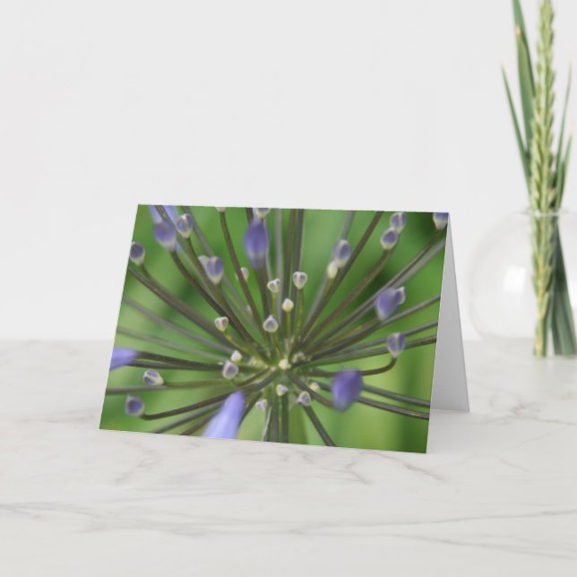 Wondrous Agapanthus Card (Front)