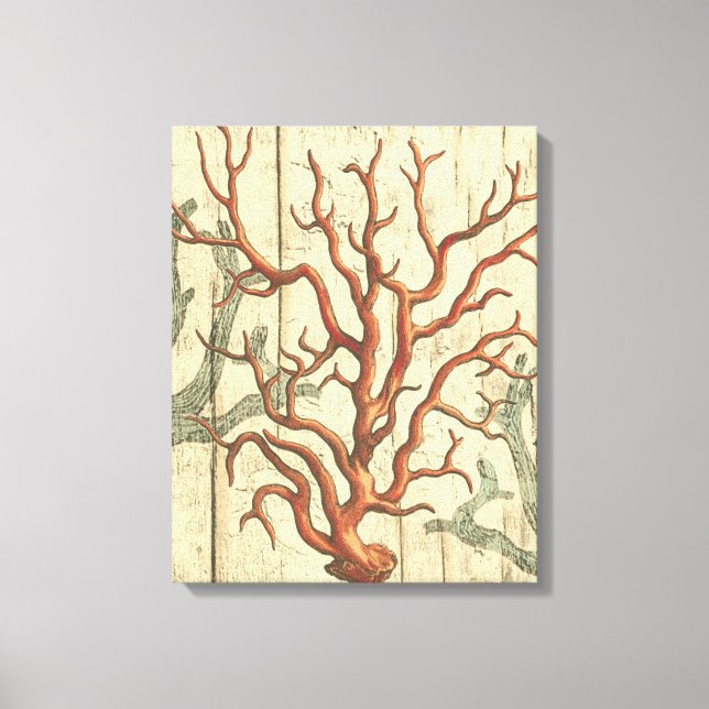 Wood and Small Coral Canvas Print (Front)