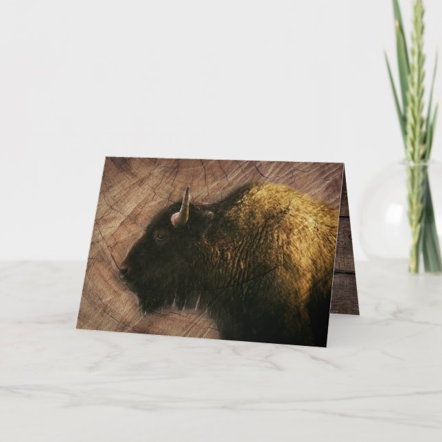 Wood Bison Buffalo Card (Front)