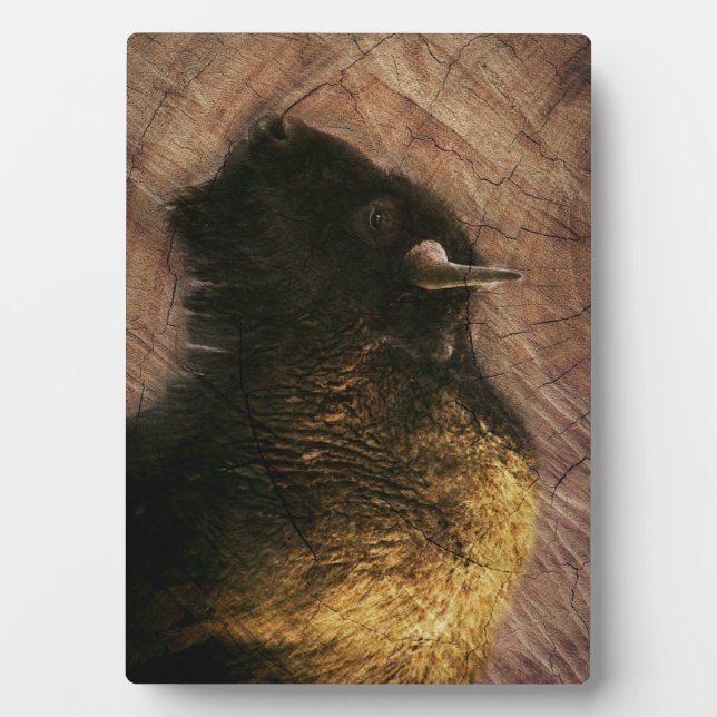 Wood Bison Buffalo Plaque (Front)