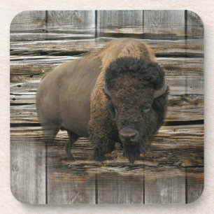 Wood Bison Coaster