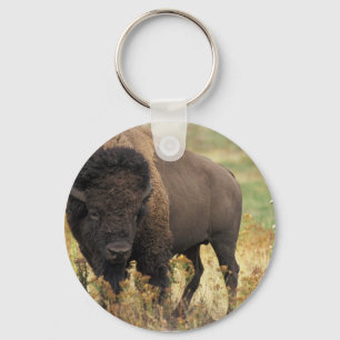 Wood Bison Keychain
