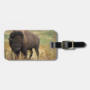 Wood Bison Luggage Tag