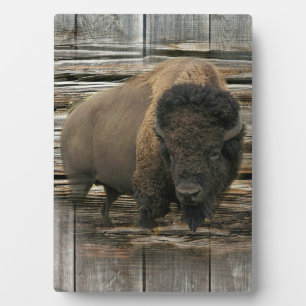 Wood Bison Plaque