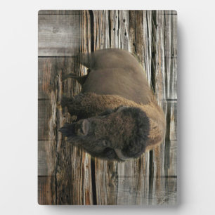 Wood Bison Plaque