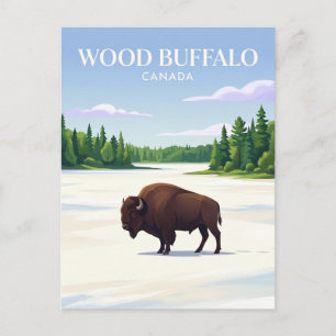 Wood Buffalo National Park Canada Postcard