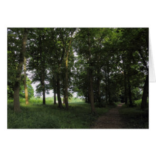 Wood, Bute Park Cardiff