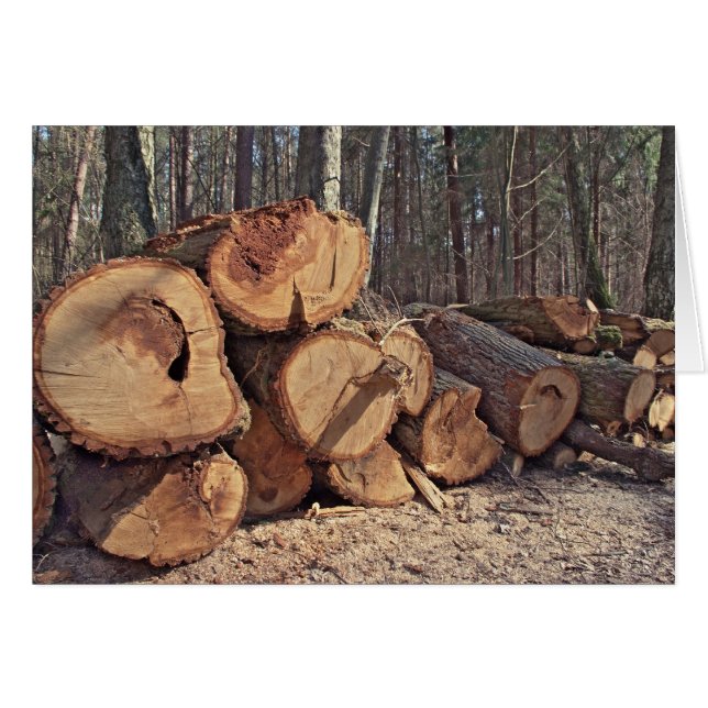 Wood Card (Front Horizontal)