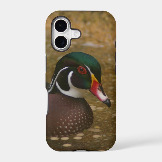 Wood Duck (Back)