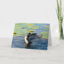 Wood Duck Blank Greeting Card