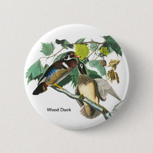 Wood Duck by John James Audubon, Birdwatcher Bird 6 Cm Round Badge