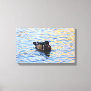 Wood Duck Canvas Art
