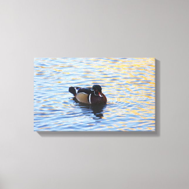 Wood Duck Canvas Art (Front)