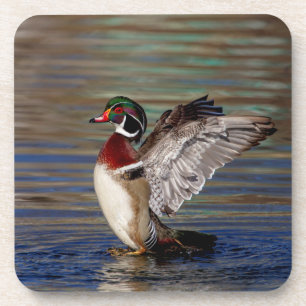 Wood Duck Coaster
