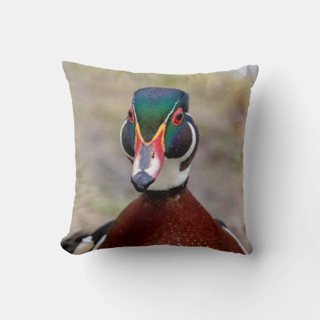 Wood Duck Cushion (Front)