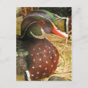 Wood Duck Decoy Postcard