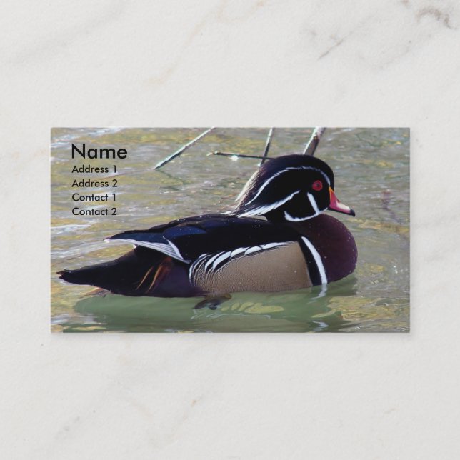 Wood Duck Drake Business Card (Front)