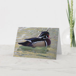 Wood Duck Drake Card