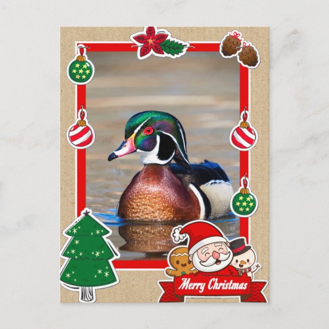 Wood Duck Drake Christmas Card (Front)
