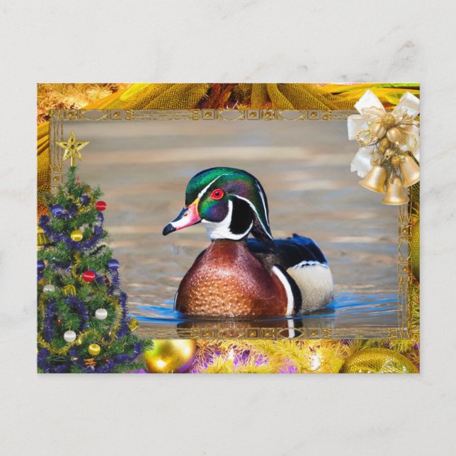 Wood Duck Drake Christmas Card (Front)