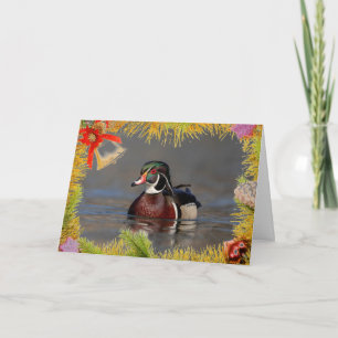 Wood Duck Drake on a Christmas Card