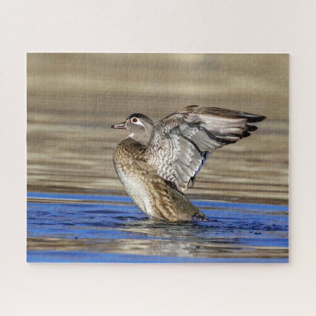 Wood Duck flapping her wings Jigsaw Puzzle (Horizontal)
